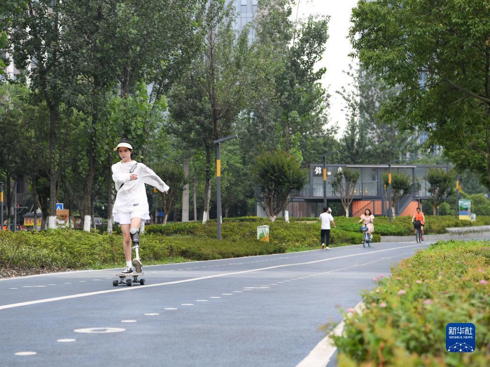 狗博是哪个平台